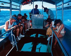 Roatan Cruise Ship Excursion