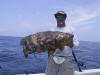 Roatan Fishing