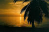 Roatan Honduras Sunset