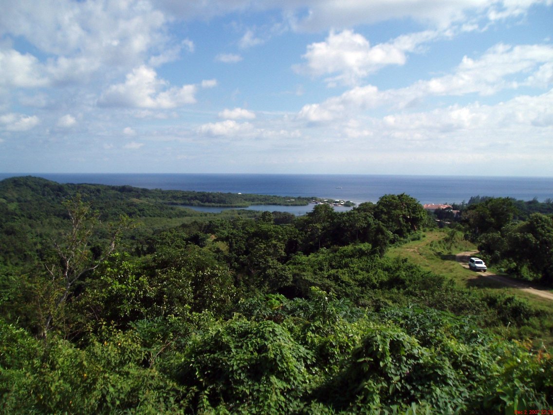 Roatan island landscape and sea