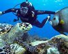 Roatan Scuba Diving Excursion