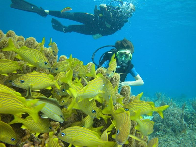 Roatan Scuba Info