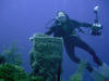 Giant Sponge - Roatan Honduras