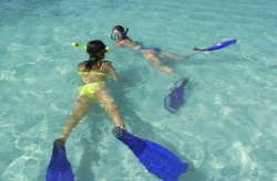 Sonrkeling Excursion on Roatan